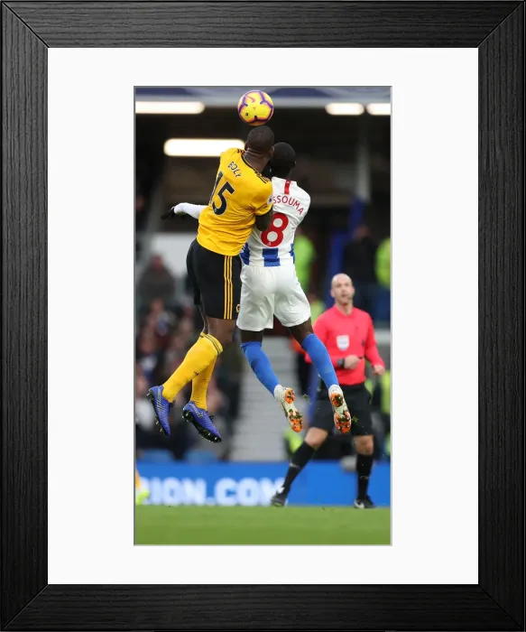 Framed Print : Brighton and Hove Albion vs. Wolverhampton Wanderers: A Premier League Showdown at American Express Community Stadium (October 26, 2018) Framed Print : Brighton and Hove Albion vs. Wolverhampton Wanderers: A Premier League Showdown at American Express Community Stadium (October 26, 2018)