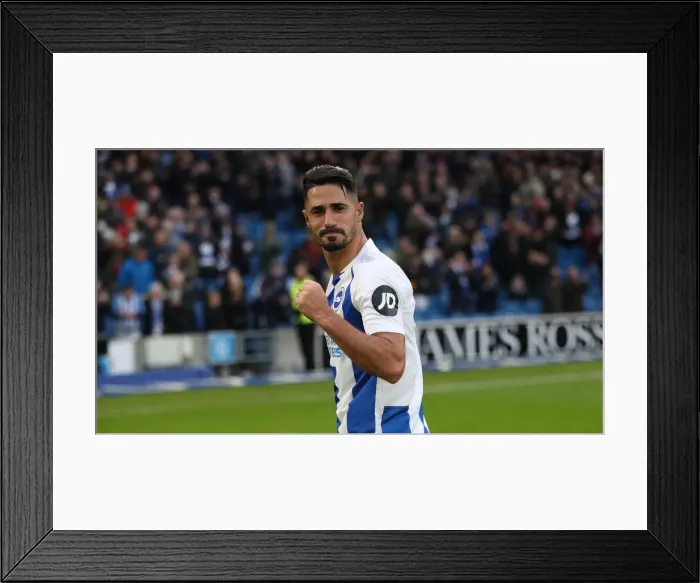 Framed Print : Brighton and Hove Albion vs. Wolverhampton Wanderers: A Premier League Battle at the American Express Community Stadium - October 2018 Framed Print : Brighton and Hove Albion vs. Wolverhampton Wanderers: A Premier League Battle at the American Express Community Stadium - October 2018
