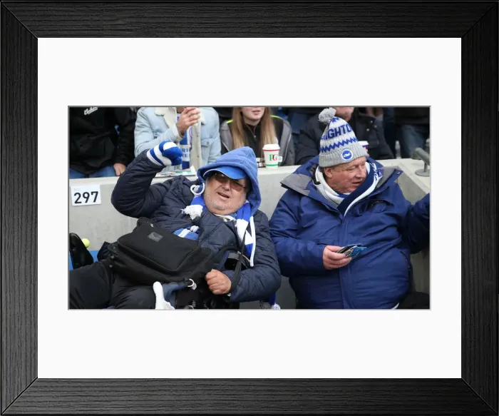 Framed Print : Brighton and Hove Albion vs. Wolverhampton Wanderers: A Premier League Showdown at American Express Community Stadium (October 26, 2018) Framed Print : Brighton and Hove Albion vs. Wolverhampton Wanderers: A Premier League Showdown at American Express Community Stadium (October 26, 2018)