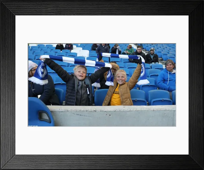 Framed Print : Brighton and Hove Albion vs. Wolverhampton Wanderers: A Premier League Showdown at American Express Community Stadium (October 26, 2018) Framed Print : Brighton and Hove Albion vs. Wolverhampton Wanderers: A Premier League Showdown at American Express Community Stadium (October 26, 2018)