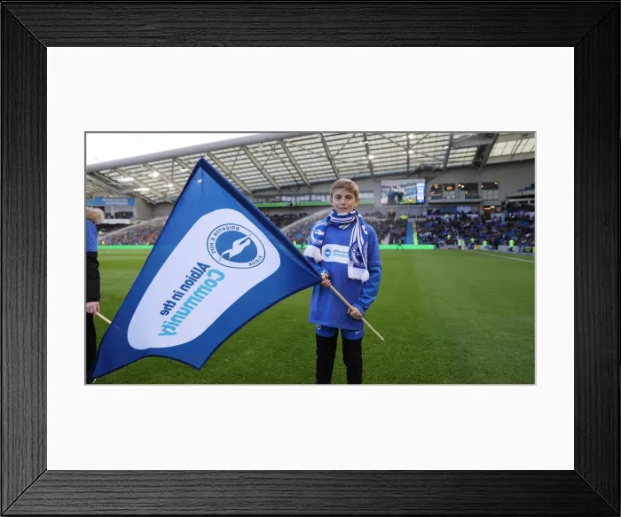 Framed Print : Brighton and Hove Albion vs. Wolverhampton Wanderers: A Premier League Showdown at American Express Community Stadium (October 26, 2018) Framed Print : Brighton and Hove Albion vs. Wolverhampton Wanderers: A Premier League Showdown at American Express Community Stadium (October 26, 2018)