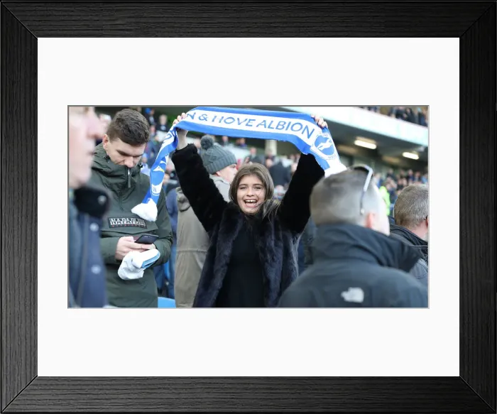 Framed Print : Brighton and Hove Albion vs. Wolverhampton Wanderers: A Premier League Showdown at American Express Community Stadium (October 26, 2018) Framed Print : Brighton and Hove Albion vs. Wolverhampton Wanderers: A Premier League Showdown at American Express Community Stadium (October 26, 2018)