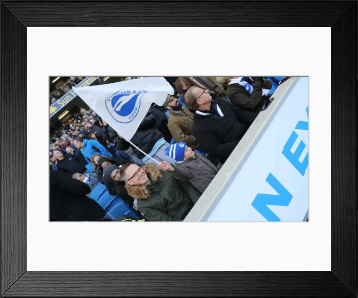 Framed Print : Brighton and Hove Albion vs. Wolverhampton Wanderers: A Premier League Showdown at American Express Community Stadium (October 26, 2018) Framed Print : Brighton and Hove Albion vs. Wolverhampton Wanderers: A Premier League Showdown at American Express Community Stadium (October 26, 2018)