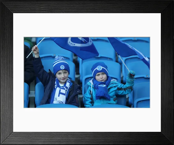 Framed Print : Brighton and Hove Albion vs. Wolverhampton Wanderers: A Premier League Showdown at American Express Community Stadium (October 26, 2018) Framed Print : Brighton and Hove Albion vs. Wolverhampton Wanderers: A Premier League Showdown at American Express Community Stadium (October 26, 2018)
