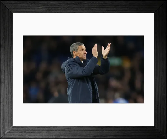 Framed Print : Premier League Showdown: Everton vs. Brighton and Hove Albion at Goodison Park (03NOV18)