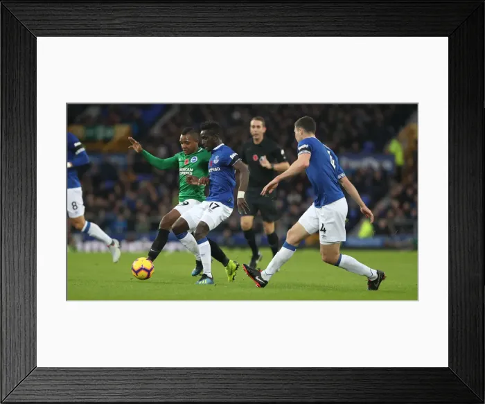 Framed Print : Premier League Showdown: Everton vs. Brighton & Hove Albion at Goodison Park (03NOV18) Framed Print : Premier League Showdown: Everton vs. Brighton & Hove Albion at Goodison Park (03NOV18)