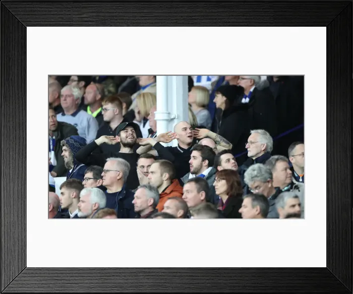 Framed Print : Premier League Showdown: Everton vs. Brighton and Hove Albion at Goodison Park (03NOV18) Framed Print : Premier League Showdown: Everton vs. Brighton and Hove Albion at Goodison Park (03NOV18)