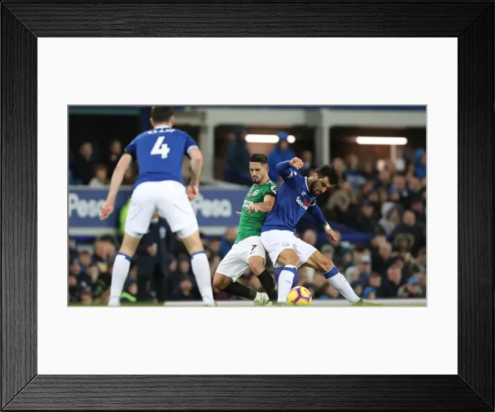 Framed Print : Premier League Showdown: Everton vs. Brighton and Hove Albion at Goodison Park (03NOV18) Framed Print : Premier League Showdown: Everton vs. Brighton and Hove Albion at Goodison Park (03NOV18)