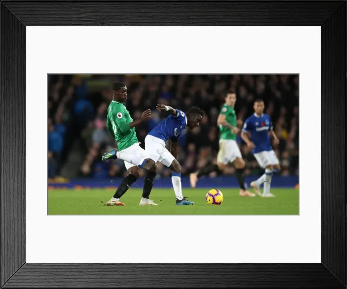 Framed Print : Premier League Showdown: Everton vs. Brighton & Hove Albion at Goodison Park (03NOV18)