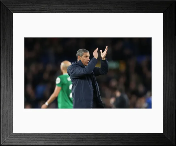 Framed Print : Premier League Showdown: Everton vs. Brighton and Hove Albion at Goodison Park (03NOV18) Framed Print : Premier League Showdown: Everton vs. Brighton and Hove Albion at Goodison Park (03NOV18)