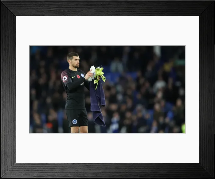 Framed Print : Premier League Showdown: Everton vs. Brighton and Hove Albion at Goodison Park (03NOV18) Framed Print : Premier League Showdown: Everton vs. Brighton and Hove Albion at Goodison Park (03NOV18)