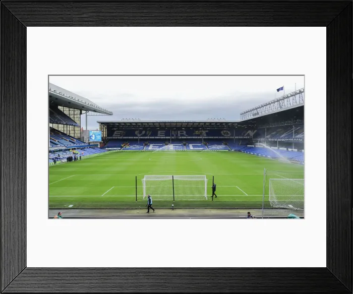 Framed Print : Premier League Showdown: Everton vs. Brighton and Hove Albion at Goodison Park (03NOV18)