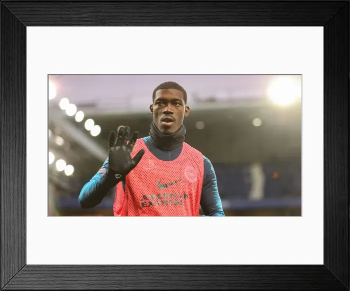 Framed Print : Premier League Showdown: Everton vs. Brighton & Hove Albion at Goodison Park (03NOV18) Framed Print : Premier League Showdown: Everton vs. Brighton & Hove Albion at Goodison Park (03NOV18)