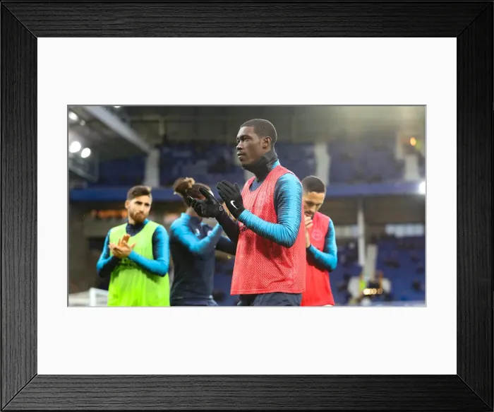 Framed Print : Premier League Showdown: Everton vs. Brighton and Hove Albion at Goodison Park (03NOV18) Framed Print : Premier League Showdown: Everton vs. Brighton and Hove Albion at Goodison Park (03NOV18)