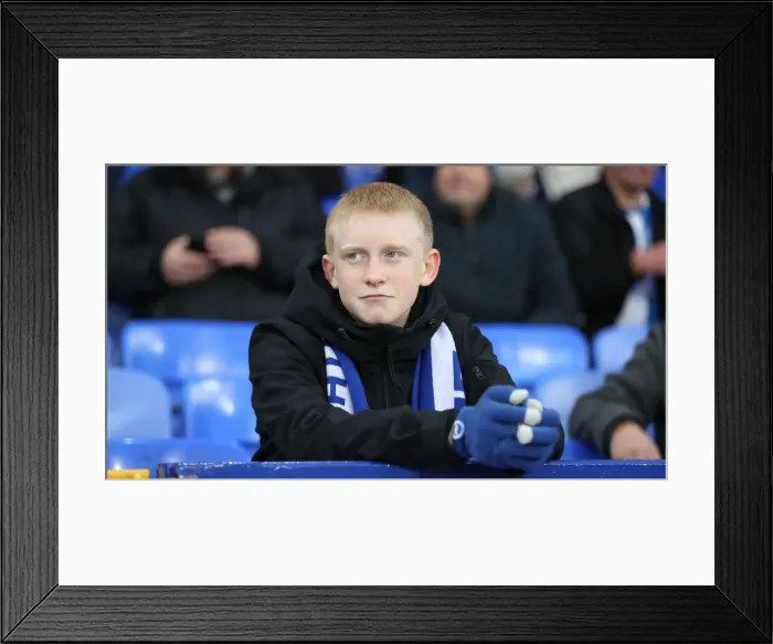Framed Print : Premier League Showdown: Everton vs. Brighton & Hove Albion at Goodison Park (03NOV18)