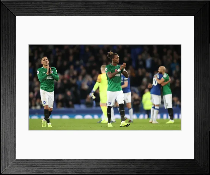 Framed Print : Premier League Showdown: Everton vs. Brighton and Hove Albion at Goodison Park (03NOV18)