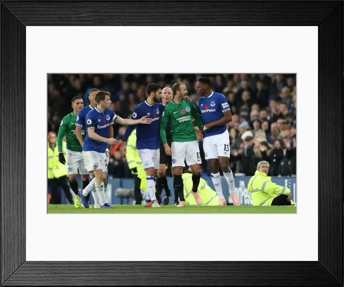 Framed Print : Premier League Showdown: Everton vs. Brighton & Hove Albion at Goodison Park (03NOV18) Framed Print : Premier League Showdown: Everton vs. Brighton & Hove Albion at Goodison Park (03NOV18)