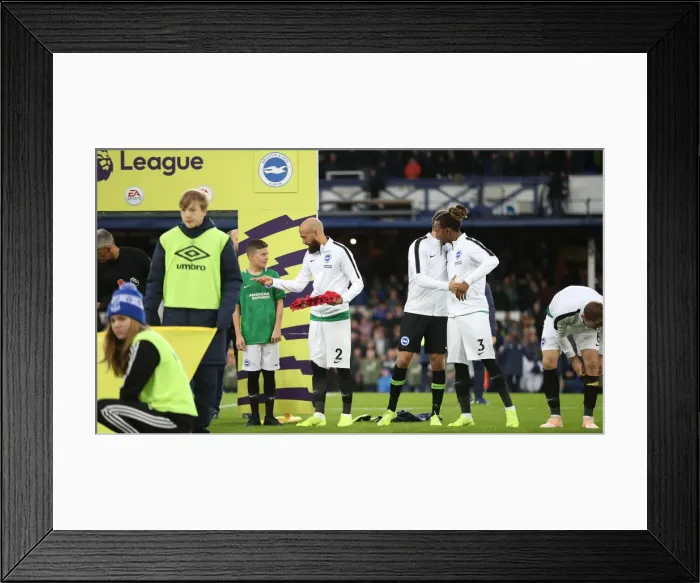 Framed Print : Premier League Showdown: Everton vs. Brighton and Hove Albion at Goodison Park (03NOV18)