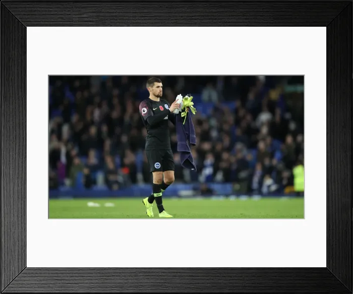 Framed Print : Premier League Showdown: Everton vs. Brighton & Hove Albion at Goodison Park (03NOV18)