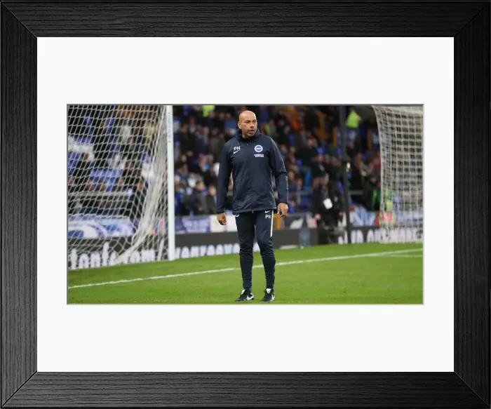 Framed Print : Premier League Showdown: Everton vs. Brighton & Hove Albion at Goodison Park (03NOV18)