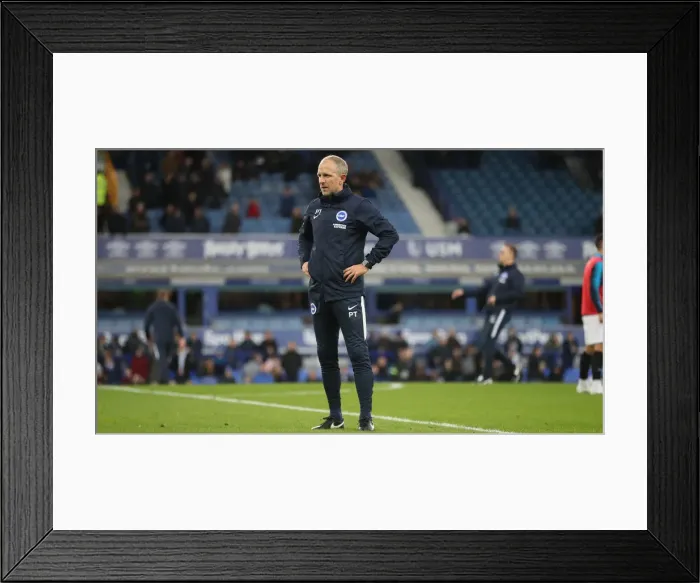 Framed Print : Premier League Showdown: Everton vs. Brighton & Hove Albion at Goodison Park (03NOV18) Framed Print : Premier League Showdown: Everton vs. Brighton & Hove Albion at Goodison Park (03NOV18)