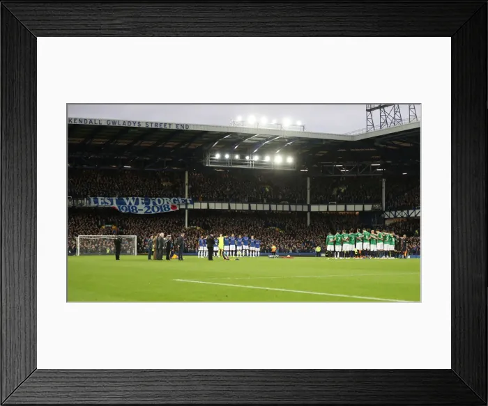 Framed Print : Premier League Showdown: Everton vs. Brighton & Hove Albion at Goodison Park (03NOV18)