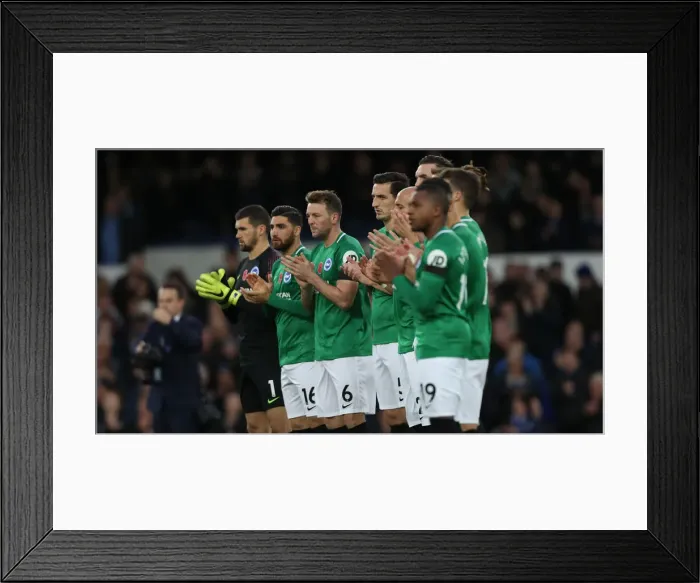 Framed Print : Premier League Showdown: Everton vs. Brighton and Hove Albion at Goodison Park (03NOV18)