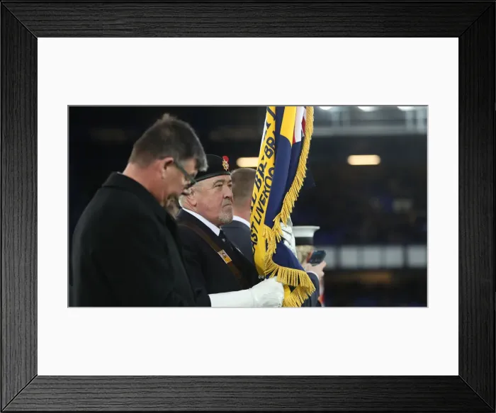 Framed Print : Premier League Showdown: Everton vs. Brighton and Hove Albion at Goodison Park (03NOV18)