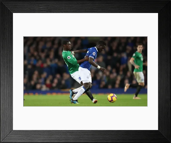 Framed Print : Premier League Showdown: Everton vs. Brighton & Hove Albion at Goodison Park (03NOV18)