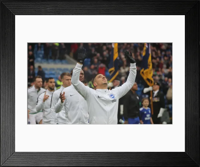 Framed Print : 10NOV18: Premier League Battle - Cardiff City vs. Brighton and Hove Albion at Cardiff City Stadium Framed Print : 10NOV18: Premier League Battle - Cardiff City vs. Brighton and Hove Albion at Cardiff City Stadium