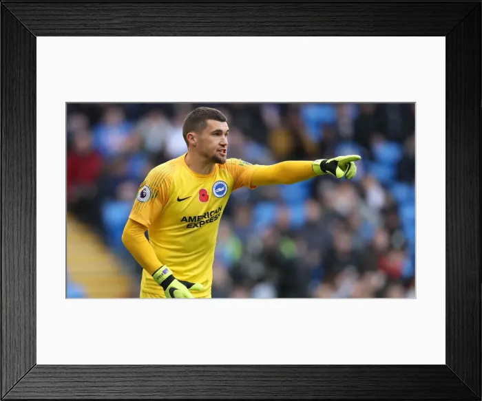 Framed Print : Premier League Showdown: Cardiff City vs. Brighton and Hove Albion (10NOV18)