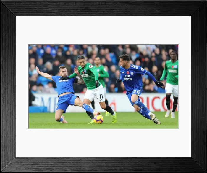 Framed Print : Premier League Showdown: Cardiff City vs Brighton and Hove Albion (10Nov18) Framed Print : Premier League Showdown: Cardiff City vs Brighton and Hove Albion (10Nov18)