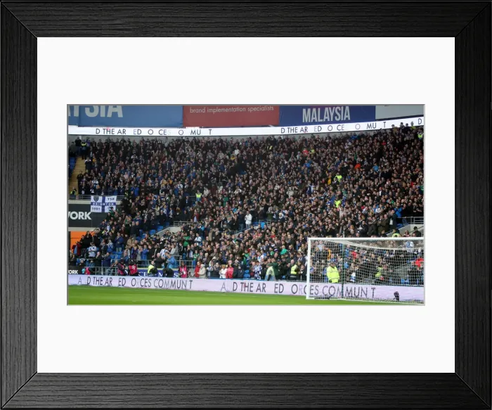 Framed Print : 10NOV18: Premier League Battle - Cardiff City vs. Brighton and Hove Albion at Cardiff City Stadium Framed Print : 10NOV18: Premier League Battle - Cardiff City vs. Brighton and Hove Albion at Cardiff City Stadium