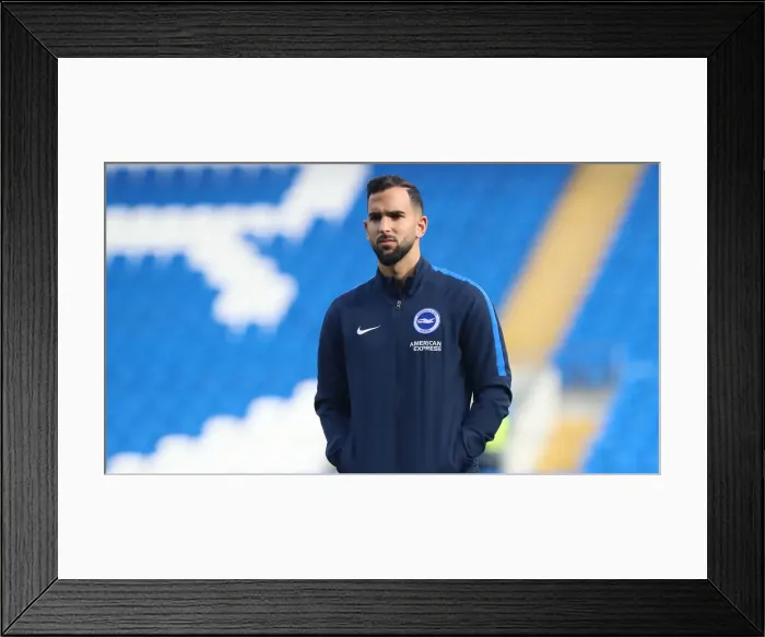 Framed Print : 10NOV18: Premier League Showdown - Cardiff City vs. Brighton and Hove Albion at Cardiff City Stadium Framed Print : 10NOV18: Premier League Showdown - Cardiff City vs. Brighton and Hove Albion at Cardiff City Stadium