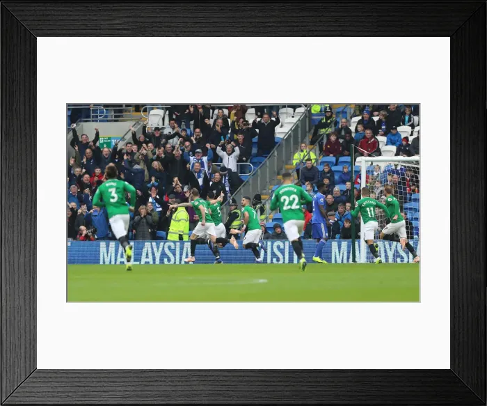 Framed Print : 10NOV18: Premier League Battle - Cardiff City vs. Brighton and Hove Albion at Cardiff City Stadium