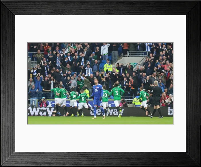 Framed Print : 10NOV18: Premier League Battle - Cardiff City vs. Brighton and Hove Albion at Cardiff City Stadium Framed Print : 10NOV18: Premier League Battle - Cardiff City vs. Brighton and Hove Albion at Cardiff City Stadium