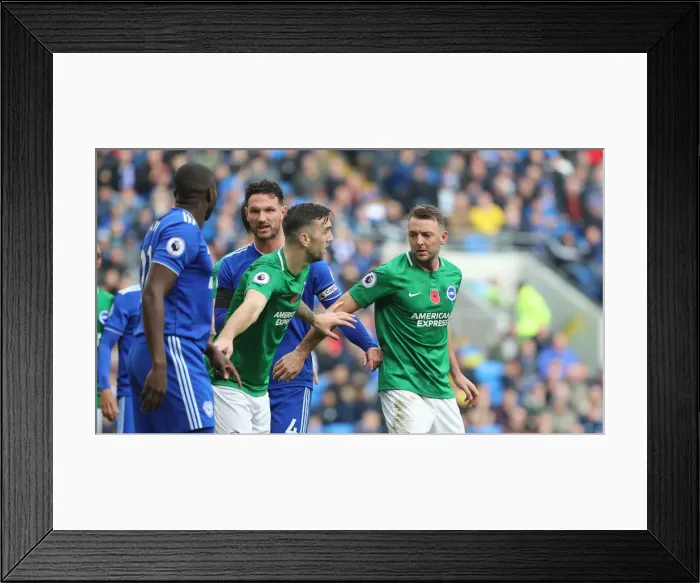 Framed Print : 10NOV18: Premier League Battle - Cardiff City vs. Brighton and Hove Albion at Cardiff City Stadium Framed Print : 10NOV18: Premier League Battle - Cardiff City vs. Brighton and Hove Albion at Cardiff City Stadium