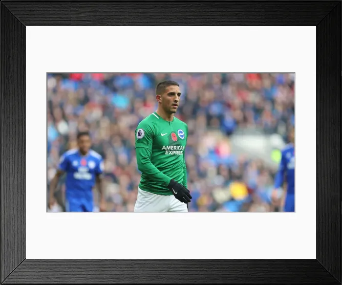 Framed Print : 10NOV18: Premier League Battle - Cardiff City vs. Brighton and Hove Albion at Cardiff City Stadium
