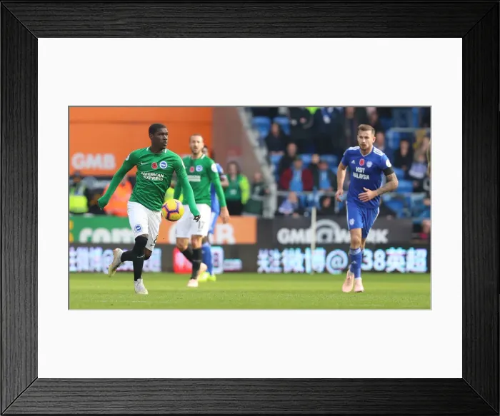 Framed Print : 10NOV18: Intense Premier League Showdown - Cardiff City vs. Brighton & Hove Albion at Cardiff City Stadium Framed Print : 10NOV18: Intense Premier League Showdown - Cardiff City vs. Brighton & Hove Albion at Cardiff City Stadium