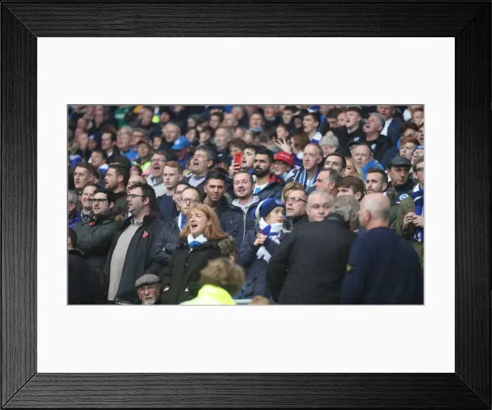 Framed Print : 10NOV18: Premier League Showdown - Cardiff City vs Brighton and Hove Albion at Cardiff City Stadium Framed Print : 10NOV18: Premier League Showdown - Cardiff City vs Brighton and Hove Albion at Cardiff City Stadium