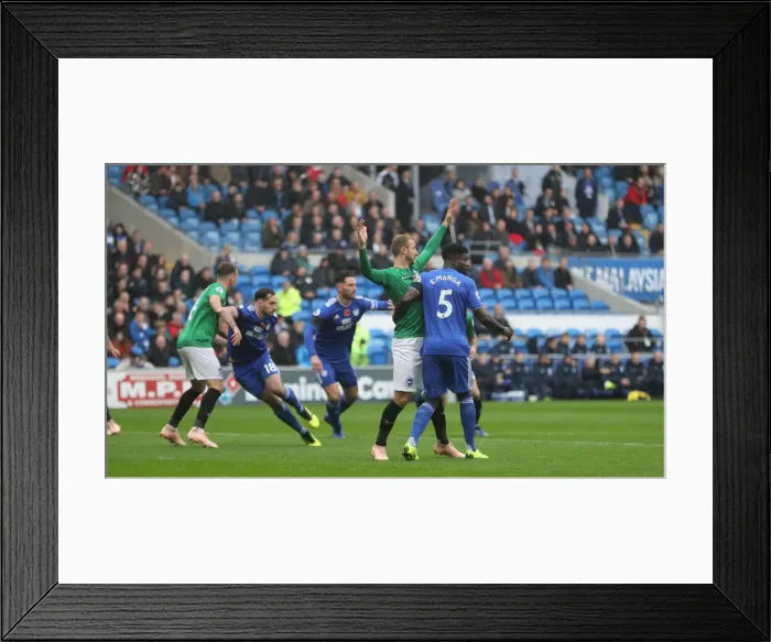 Framed Print : 10NOV18: Premier League Battle - Cardiff City vs. Brighton and Hove Albion at Cardiff City Stadium Framed Print : 10NOV18: Premier League Battle - Cardiff City vs. Brighton and Hove Albion at Cardiff City Stadium