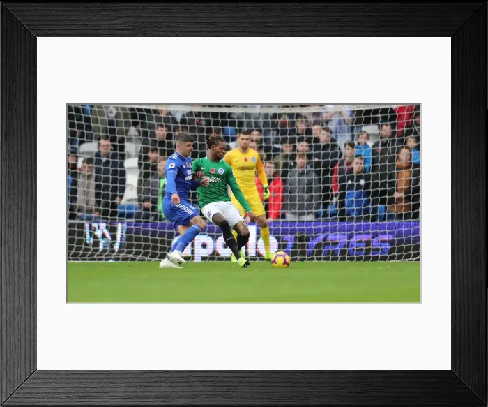 Framed Print : 10NOV18: Premier League Showdown - Cardiff City vs. Brighton and Hove Albion at Cardiff City Stadium Framed Print : 10NOV18: Premier League Showdown - Cardiff City vs. Brighton and Hove Albion at Cardiff City Stadium