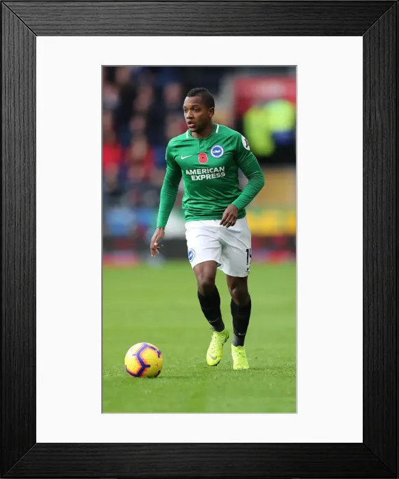 Framed Print : 10NOV18: Premier League Showdown - Cardiff City vs. Brighton and Hove Albion at Cardiff City Stadium Framed Print : 10NOV18: Premier League Showdown - Cardiff City vs. Brighton and Hove Albion at Cardiff City Stadium