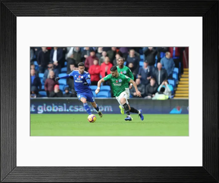 Framed Print : 10NOV18: Premier League Battle - Cardiff City vs. Brighton and Hove Albion at Cardiff City Stadium Framed Print : 10NOV18: Premier League Battle - Cardiff City vs. Brighton and Hove Albion at Cardiff City Stadium