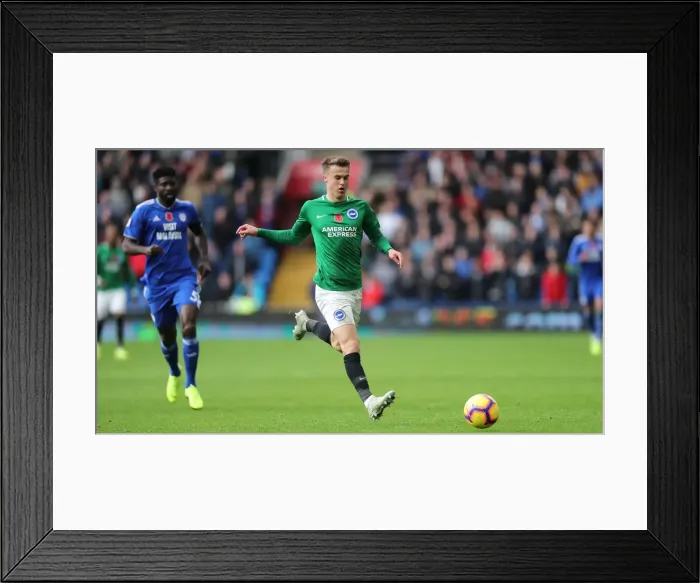 Framed Print : 10NOV18: Premier League Showdown - Cardiff City vs. Brighton and Hove Albion at Cardiff City Stadium