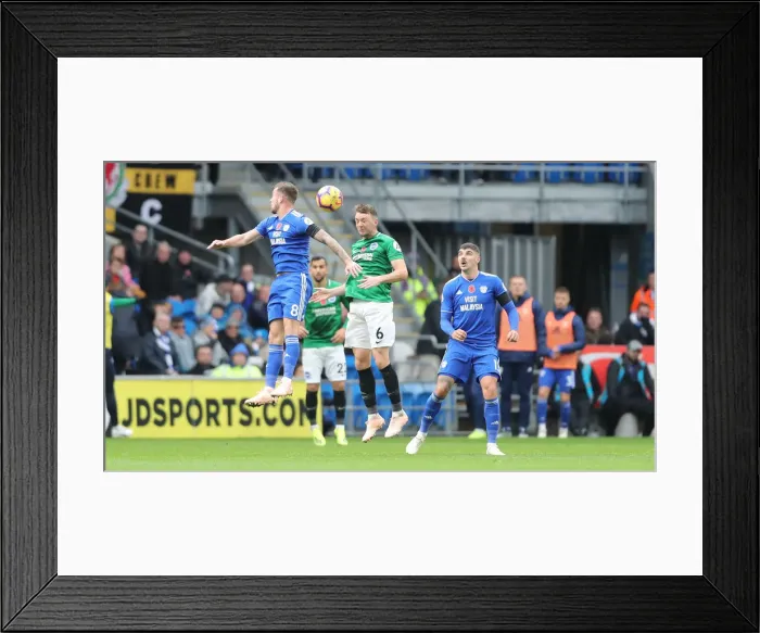 Framed Print : 10NOV18: Premier League Battle - Cardiff City vs. Brighton and Hove Albion at Cardiff City Stadium Framed Print : 10NOV18: Premier League Battle - Cardiff City vs. Brighton and Hove Albion at Cardiff City Stadium