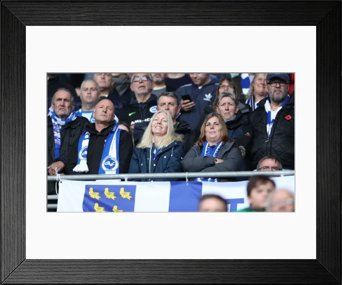Framed Print : 10NOV18: Premier League Showdown - Cardiff City vs. Brighton and Hove Albion at Cardiff City Stadium Framed Print : 10NOV18: Premier League Showdown - Cardiff City vs. Brighton and Hove Albion at Cardiff City Stadium