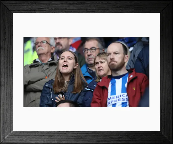 Framed Print : 10NOV18: Intense Premier League Clash - Cardiff City vs. Brighton and Hove Albion at Cardiff City Stadium Framed Print : 10NOV18: Intense Premier League Clash - Cardiff City vs. Brighton and Hove Albion at Cardiff City Stadium