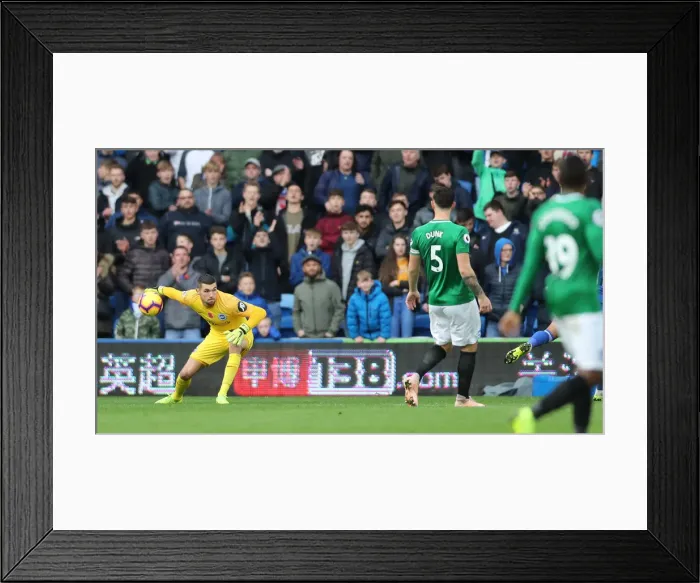 Framed Print : 10NOV18: Premier League Showdown - Cardiff City vs. Brighton and Hove Albion at Cardiff City Stadium Framed Print : 10NOV18: Premier League Showdown - Cardiff City vs. Brighton and Hove Albion at Cardiff City Stadium