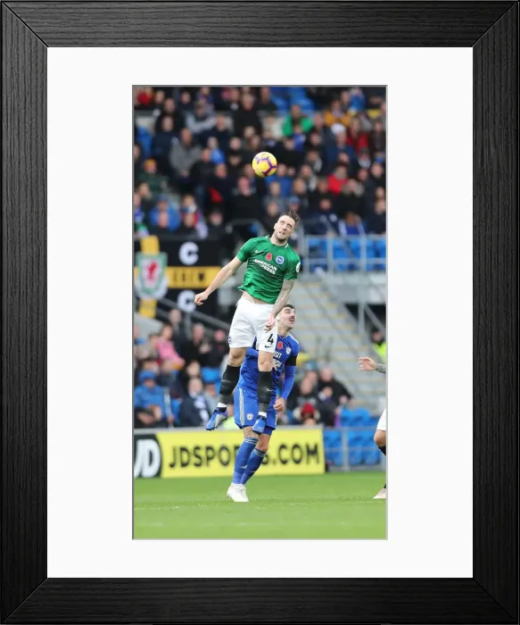 Framed Print : Premier League Showdown: Cardiff City vs. Brighton and Hove Albion (10NOV18) Framed Print : Premier League Showdown: Cardiff City vs. Brighton and Hove Albion (10NOV18)
